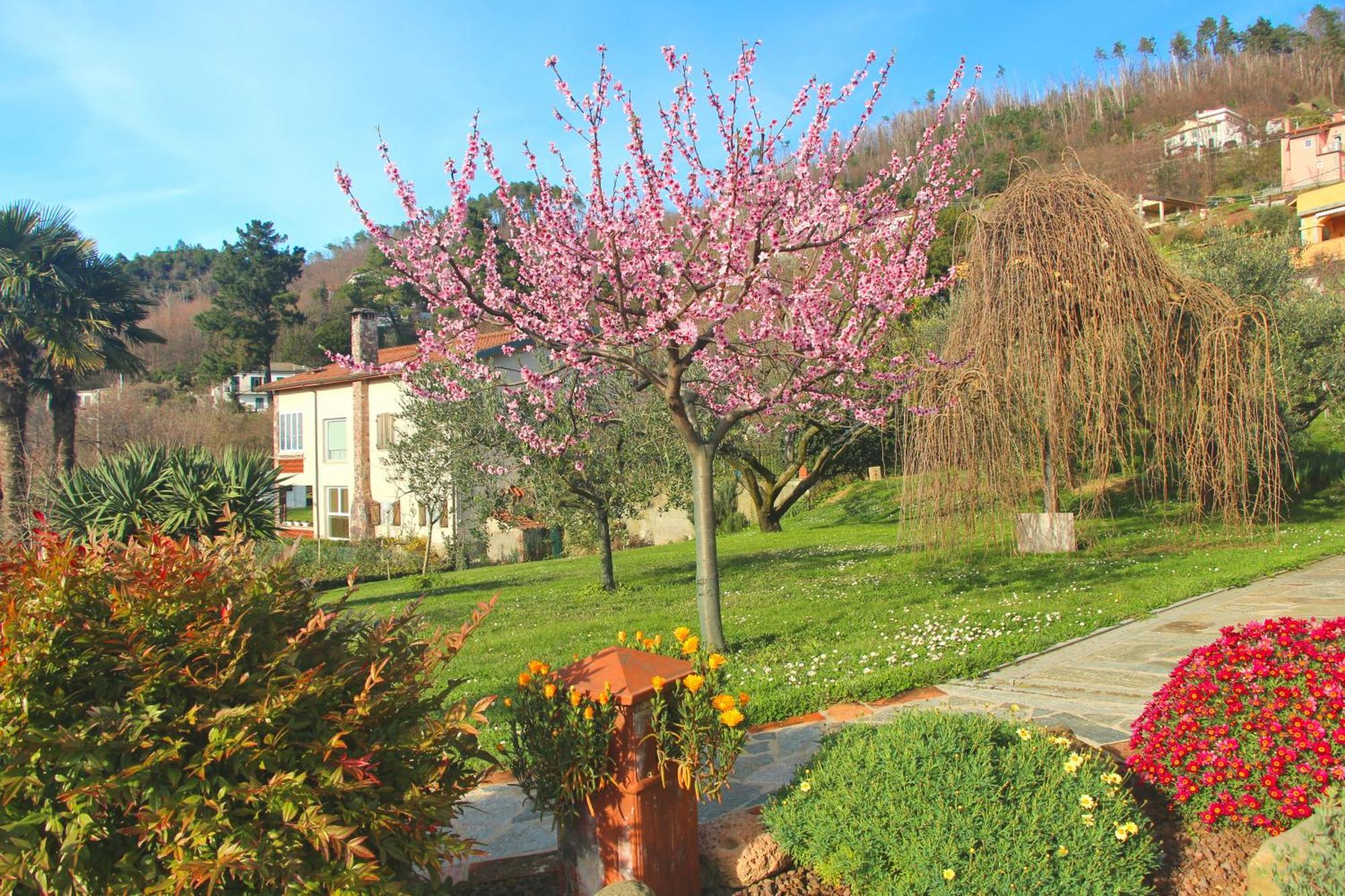 Casa Vacanze Ester Polverara Екстериор снимка